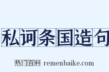 私诃条国造句是什么意思的图片